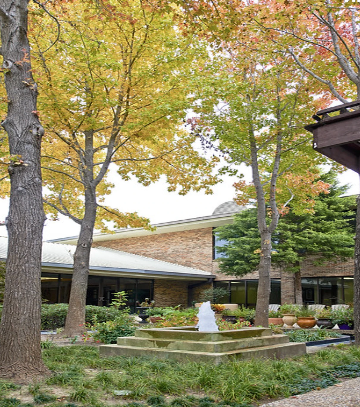 Dallas Behavioral Healthcare Hospital